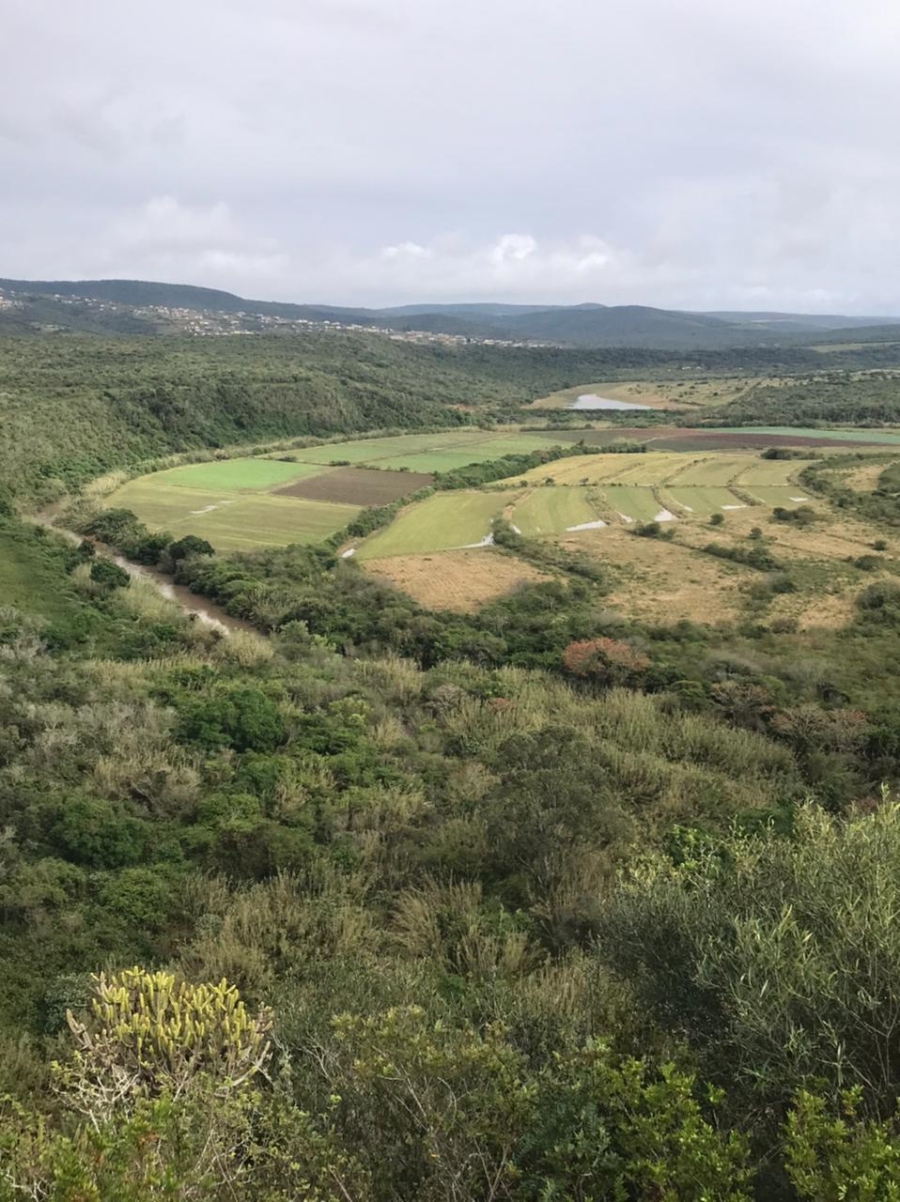 3 Bedroom Property for Sale in Komga Rural Eastern Cape